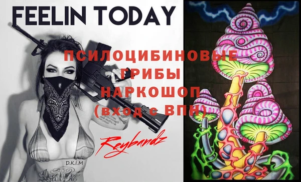 прущие грибы Нязепетровск