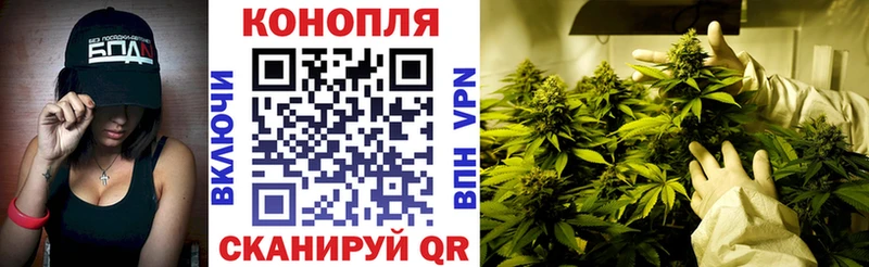 Канабис сатива  Спасск-Рязанский 